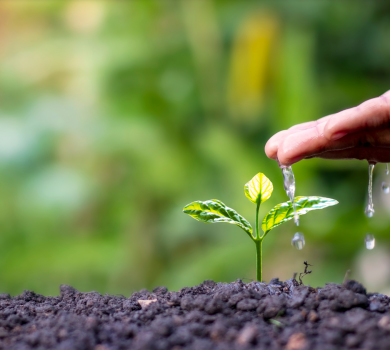 ¿Qué es la ISO 14001?